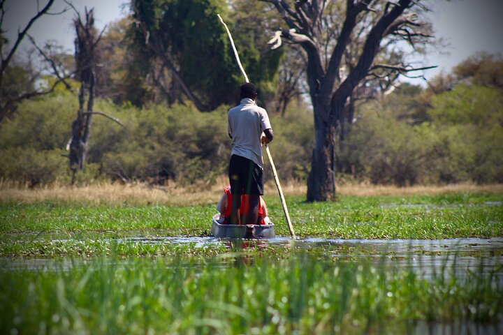 Operator photograph supplied for Overnight Mokoro Experience in the Okavango Delta, Maun, Botswana