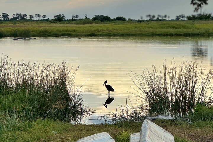 Operator photograph supplied for Overnight Mokoro Experience in the Okavango Delta, Maun, Botswana