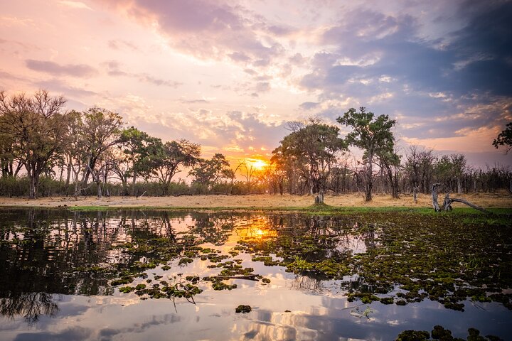 Operator photograph supplied for Overnight Mokoro Experience in the Okavango Delta, Maun, Botswana