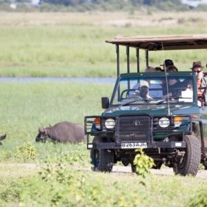 Operator photograph supplied for Safari Boat Cruise & Game Drive in Chobe National Park, Kasane, Botswana