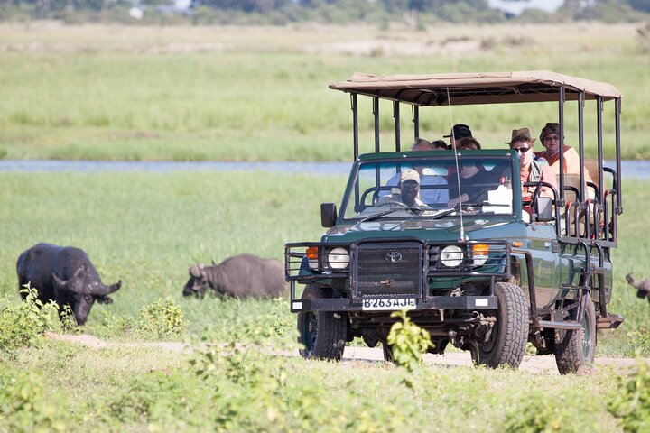 Operator photograph supplied for Safari Boat Cruise & Game Drive in Chobe National Park, Kasane, Botswana