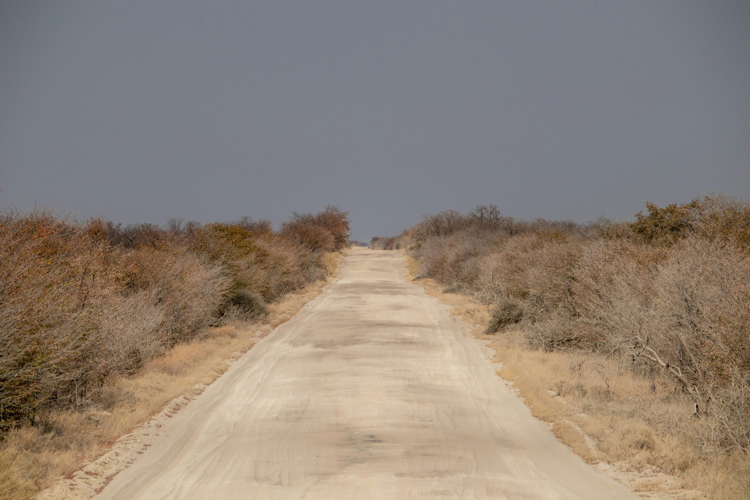 Deception Valley route through dry Kalahari country