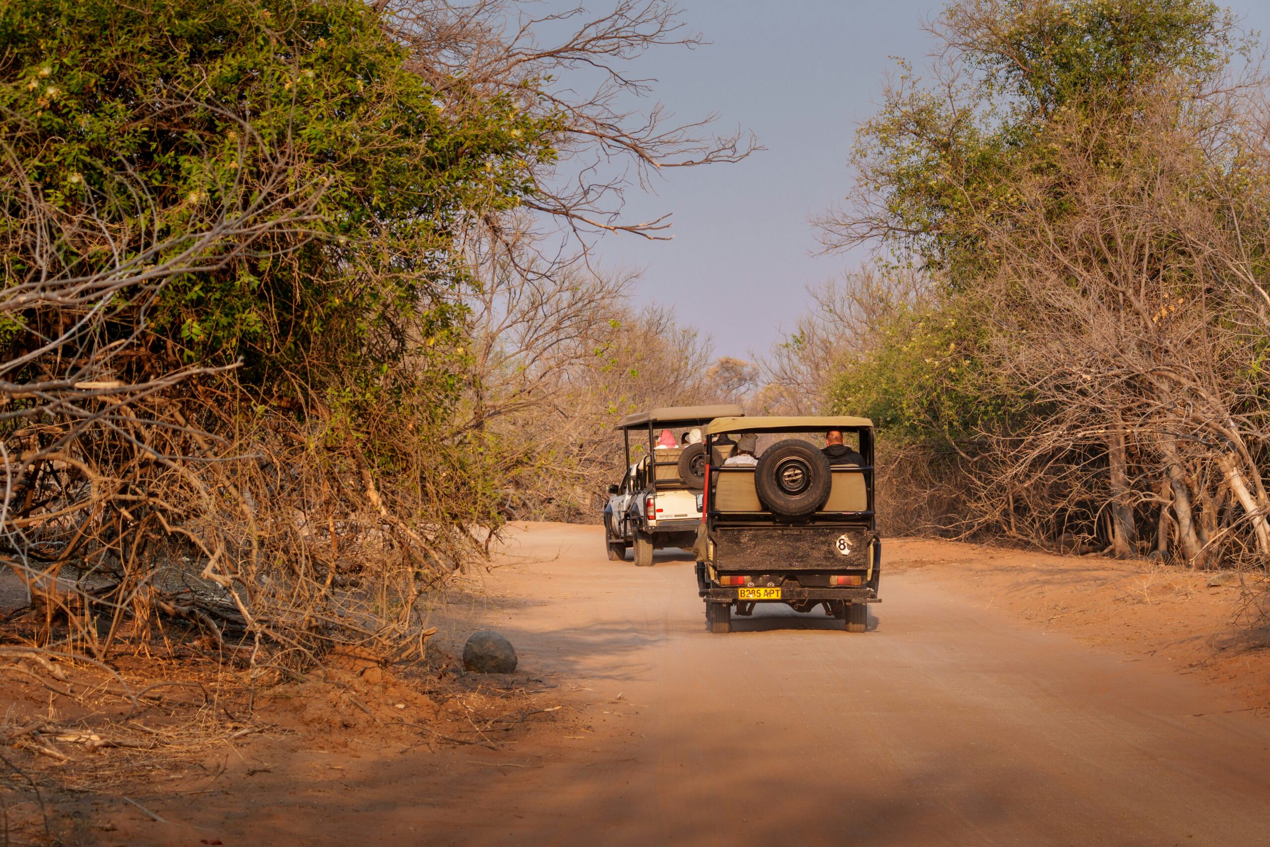 Photography from a safari vehicle — open vehicles on a dusty Botswana road