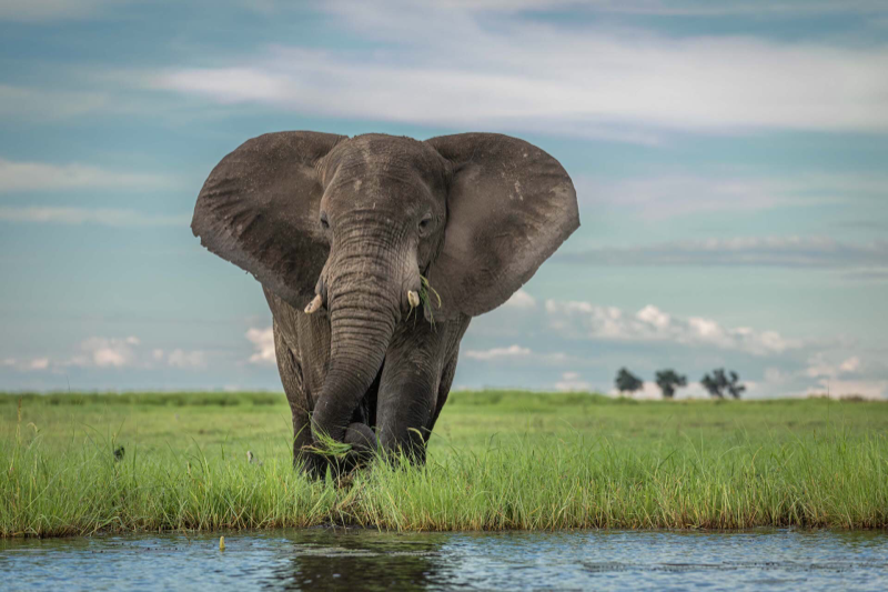 Photography From a Boat: A Practical First-Trip Setup