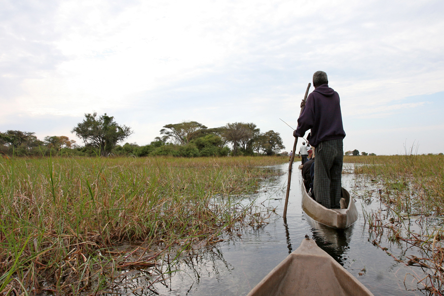 Mokoro travelling through papyrus channels in the Okavango Panhandle