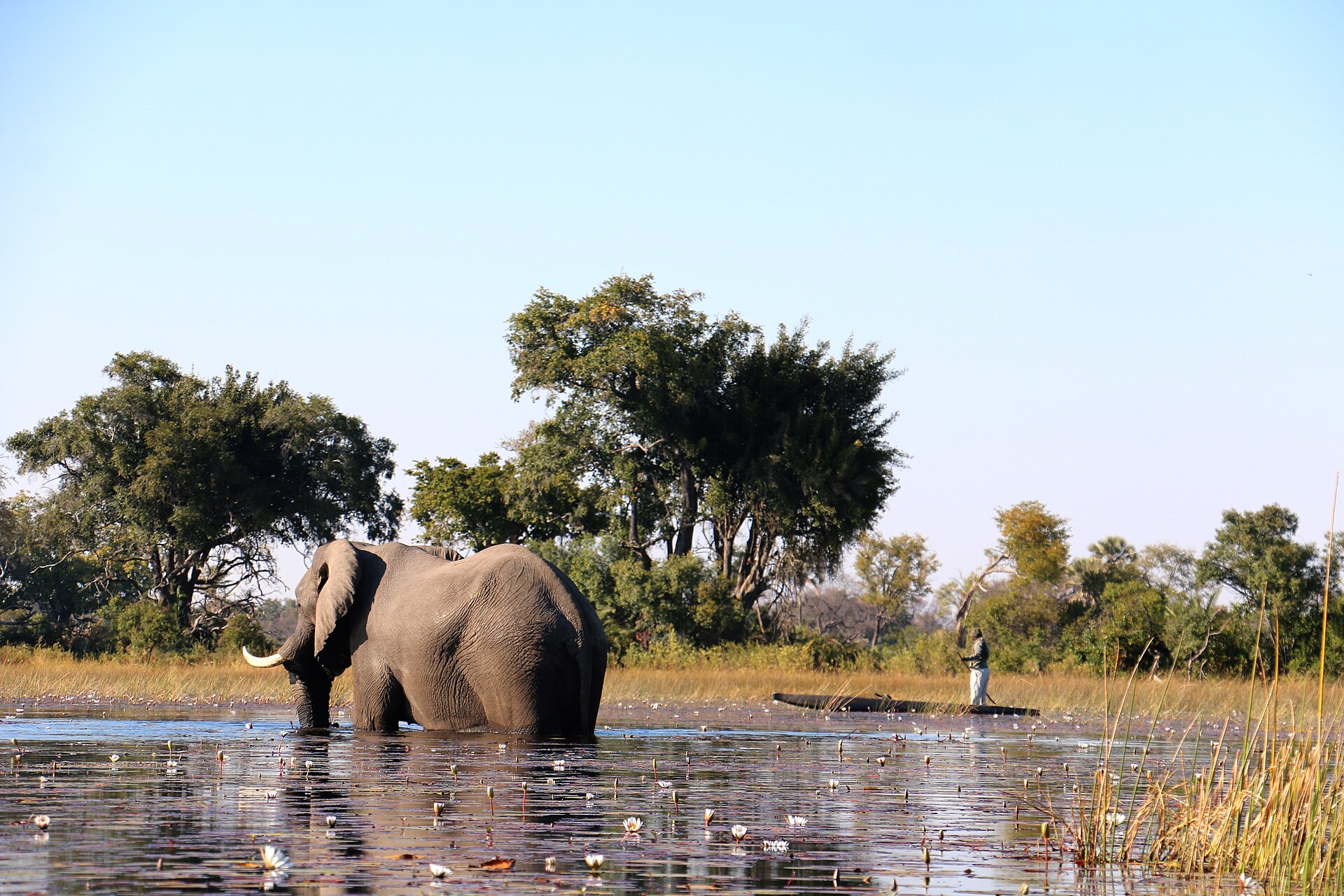 Mokoro Excursions: How to Choose the Right Format