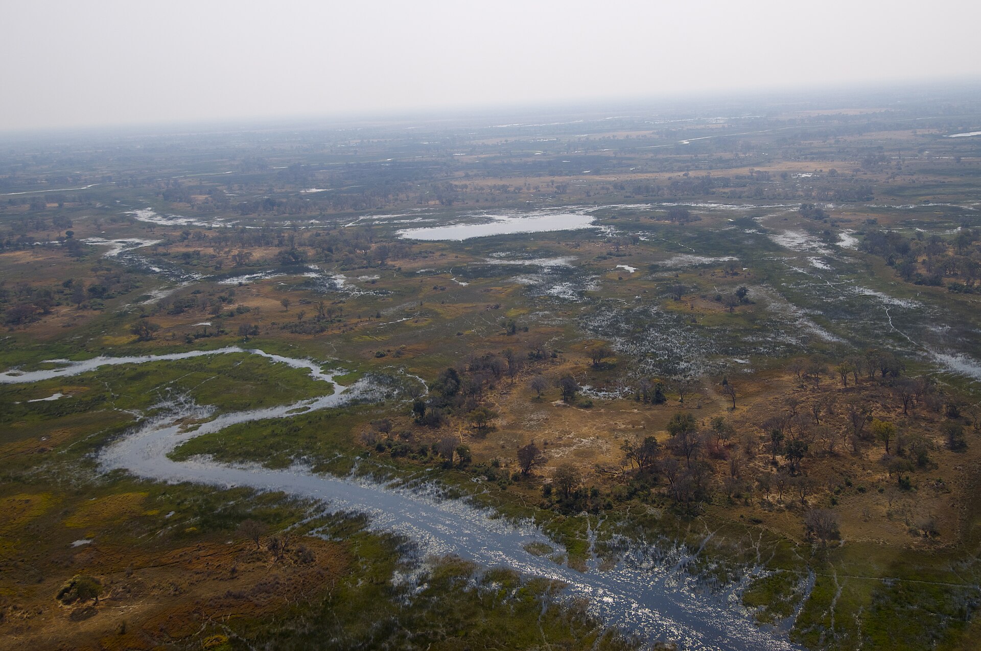 Aerial view of channels and floodplains in the Okavango Delta