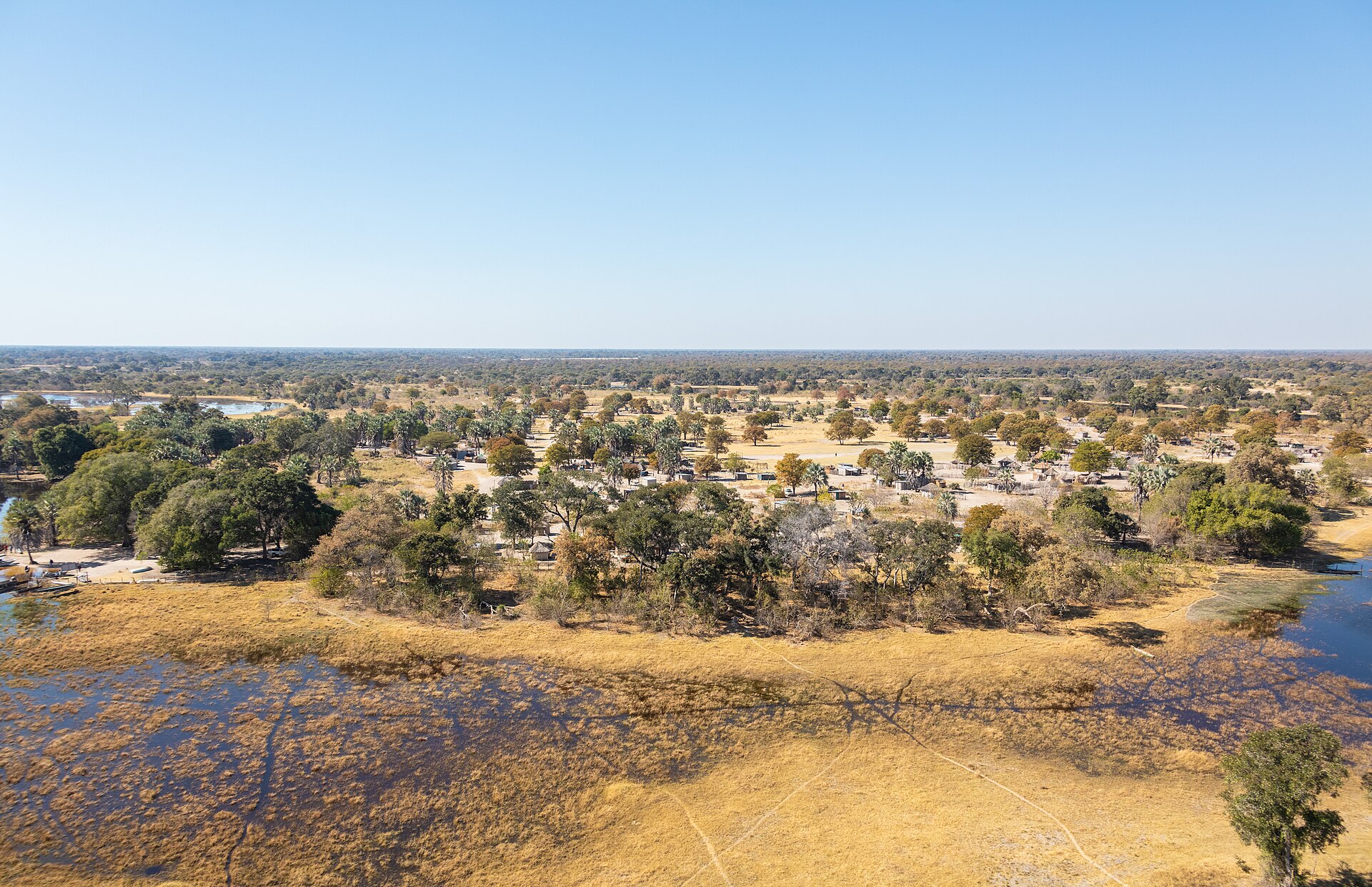 Aerial view of water channels in the Okavango Delta