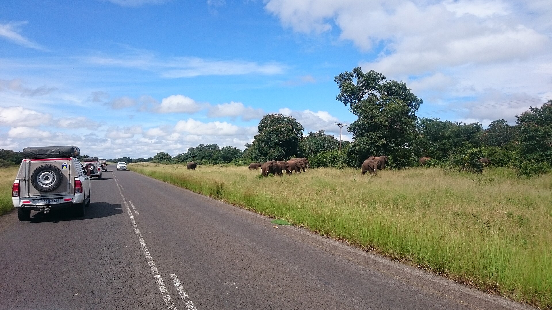 Elephants beside the road between Kasane and Nata in northern Botswana