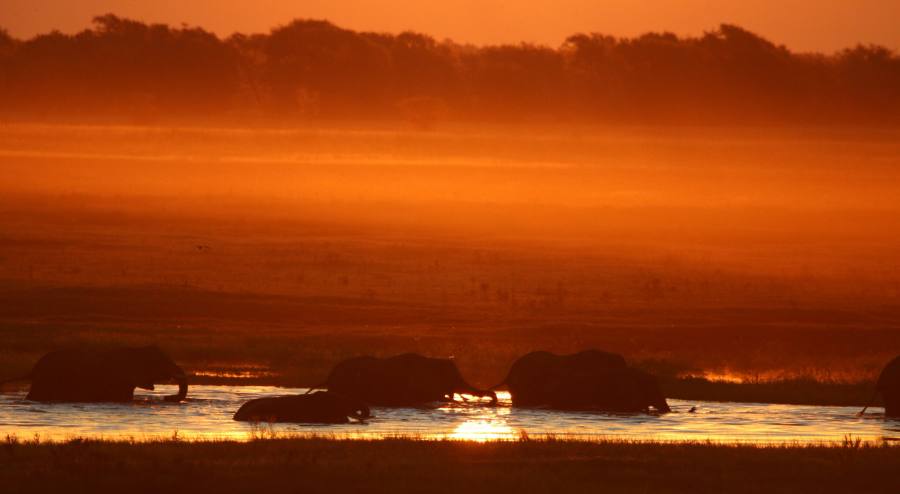 Chobe full — Kasane destination context photograph (not this specific tour) (destination context, not a photograph of this tour)