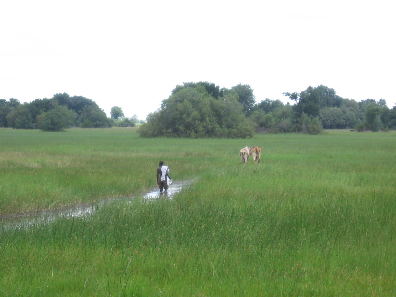 Mbiroba Camp in the Okavango Panhandle, one form of camping in Botswana