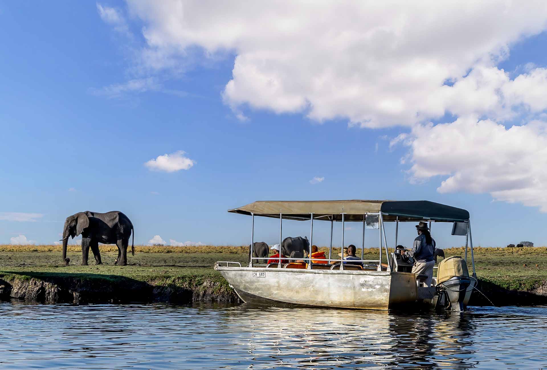 The grounds at Elephant Valley Lodge, Chobe