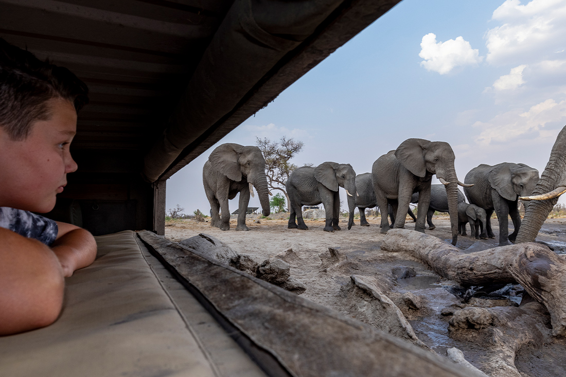 Eye-level elephant viewing at Elephant Pan