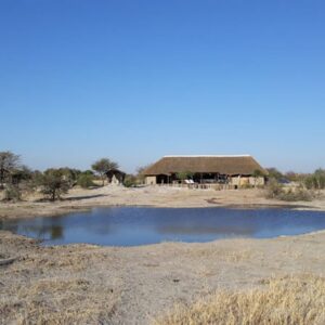 Aerial view of the Elephant Sands conservancy