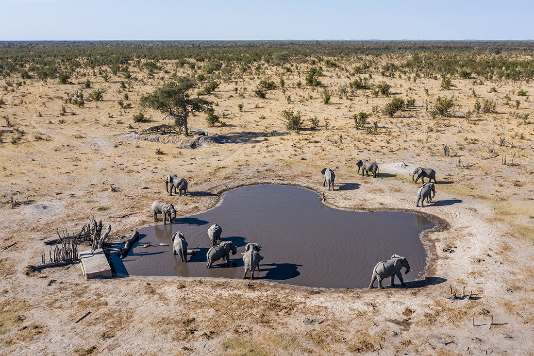 Elephants seen from the underground hide at Elephant Pan