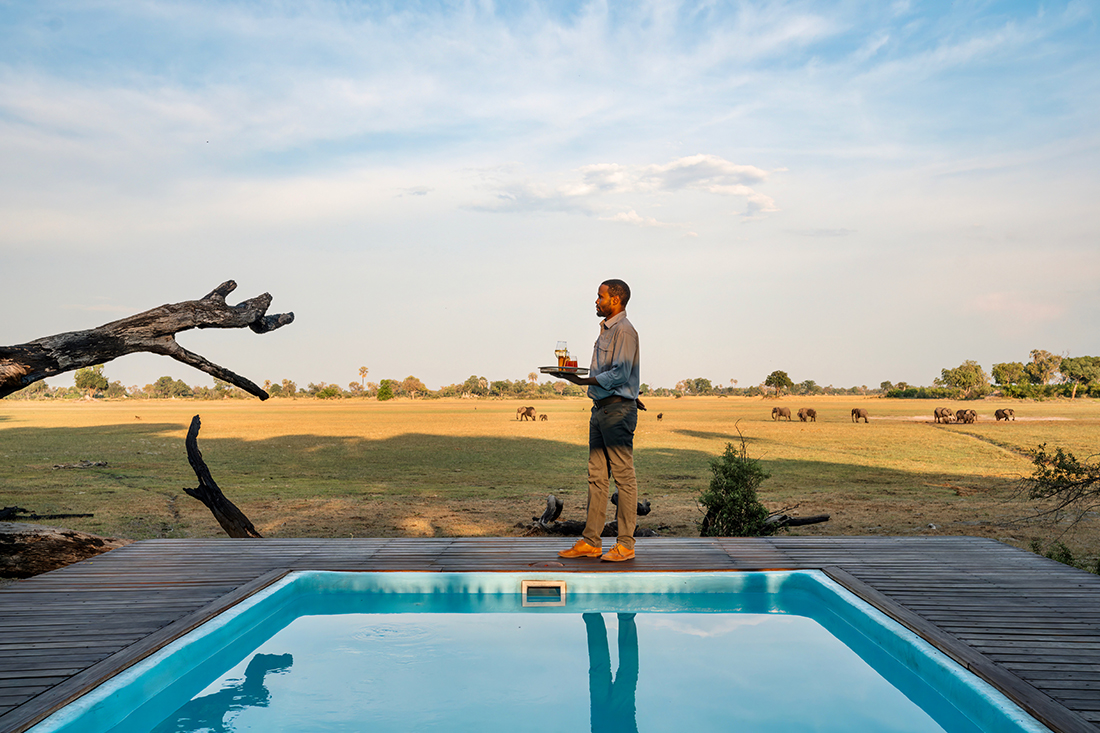 Mokolwane camp among the palms, southern Okavango Delta