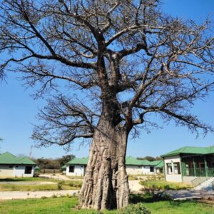 GreenLand Hotel Kazungula, Kazungula - property photograph 1
