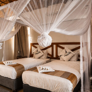 Premium twin room at Gweta Lodge