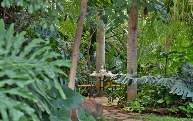 Kasane Self Catering, Kasane - property photograph 1