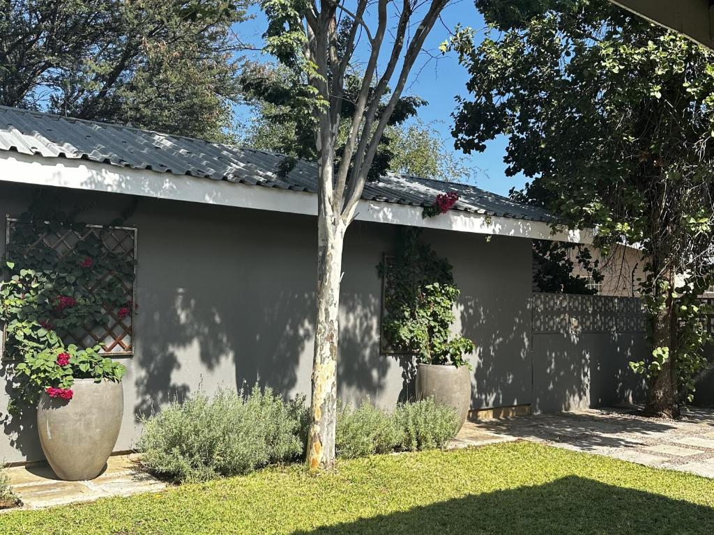 Dessert Rose Guesthouse Jwaneng – Foto der Unterkunft