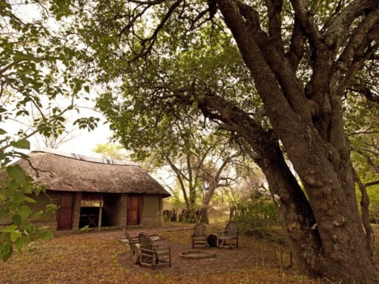 Limpopo River Lodge – photo de l'établissement